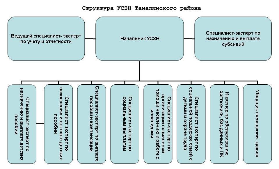 Структура организации